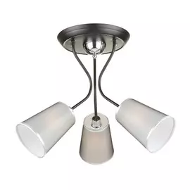 Потолочный светильник Freya Odri FR5030CL-03B