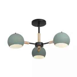 Потолочный светильник Freya Trisha FR5032CL-03B