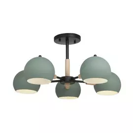 Потолочный светильник Freya Trisha FR5032CL-05B