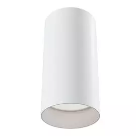 Потолочный светильник Maytoni Alfa C010CL-01W