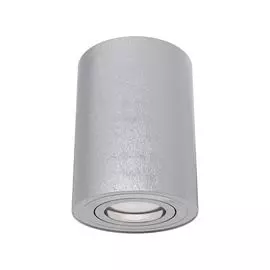 Потолочный светильник Maytoni Alfa C016CL-01S