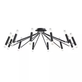 Потолочный светильник Maytoni Vigo MOD620CL-24B