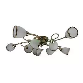 Потолочный светильник Shengqiu MD28976-10