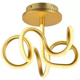 Потолочный светодиодный светильник Arti Lampadari Angelo L 1.2.35.06 G