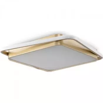 Потолочный светодиодный светильник Freya Yaku FR10026CL-L93G