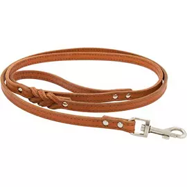 Поводок для собак ZOOEXPRESS 2 сл 14 мм 1,2 м Рыжий