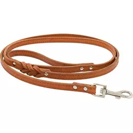 Поводок для собак ZOOEXPRESS 2 сл 14 мм 2 м Рыжий