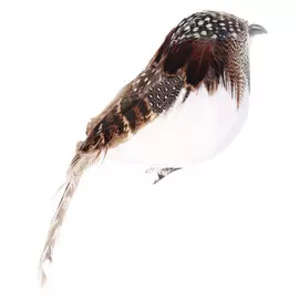 Птичка на клипсе декоративная Kaemingk 6x15x6 см