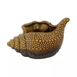 Ракушка декоративная Ter steege milo д20хш14в12