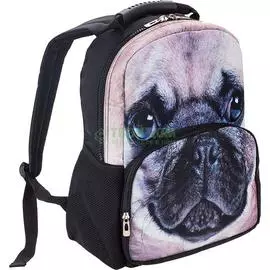 Ранец школьный №1school 322901