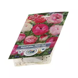 Ранункулюс Simple pleasures peony pink 20шт