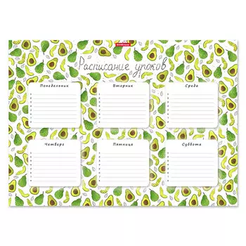 Расписание уроков Erich Krause Яркие дольки А3