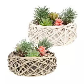 Растение искусственное Mercury суккулент д20см 18см в ассортименте