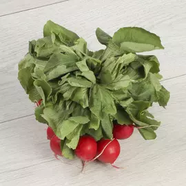 Редис с зеленью