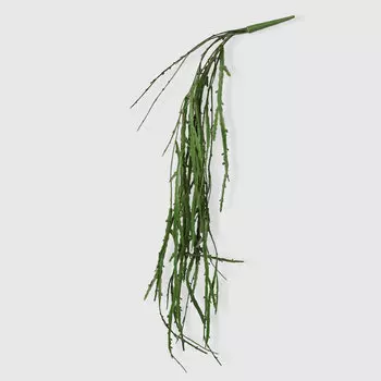 Рипсалис Конэко-О-81919 100 см