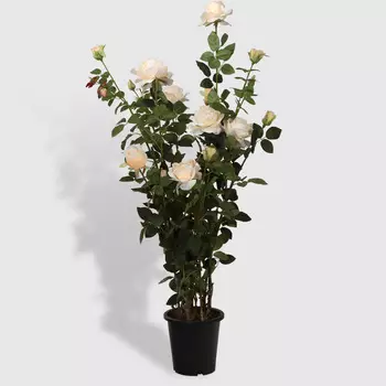 Роза Tianjin в кашпо желтая искусственная 137 см