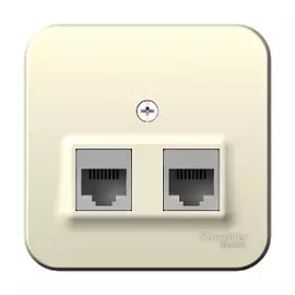 Розетка 2-ая компьютерная rj45 молочный Schneider Electric