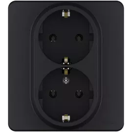 Розетка двойная Legrand Inspiria 2х2К+З, цвет - антрацит