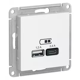 Розетка Schneider Electric usb a+с 5в/2.4 2х5в/1.2 белый