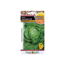 Салат кочанный Русский огород маслянистый