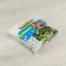 Салат Ленеа Верде Симфония 90 г