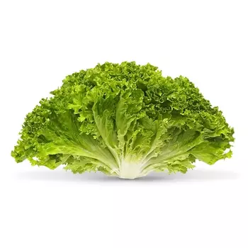 Салат Лолло Биондо, кг