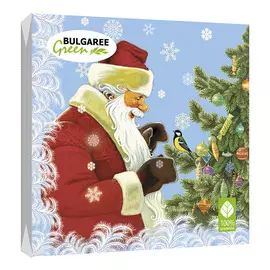 Салфетки бумажные Bulgaree Green В гостях у деда мороза трехслойные 33x33 см 20 шт