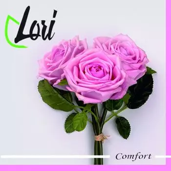 Салфетки Lori Comfort бумажные Букет 2х-слойные 33х33 см, 16 шт
