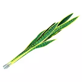 Сансиверия искуственная 90см Edg sanseveria