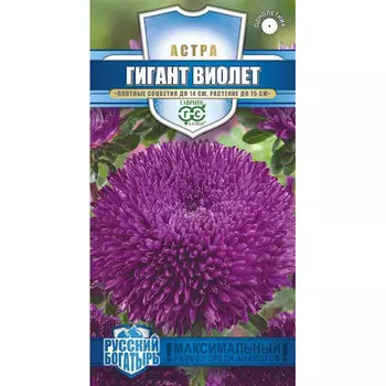 Семена Гавриш Астра Гигант виолет, однолетняя (игольчато-коготковая) 0,05 г серия Русский богатырь Н18
