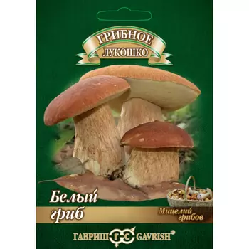 Семена Гавриш Белый гриб на зерн субстр. большой пакет 15мл