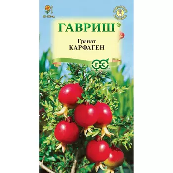 Семена Гавриш Гранат Карфаген (карликовый)x 5 шт