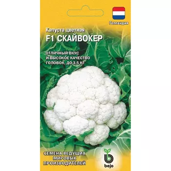 Семена Гавриш Капуста цветная Скайвокер F1 10 шт. (Голландия)