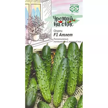 Семена Гавриш Огурец Атлет F1 10 шт. сер. Урожай на окне
