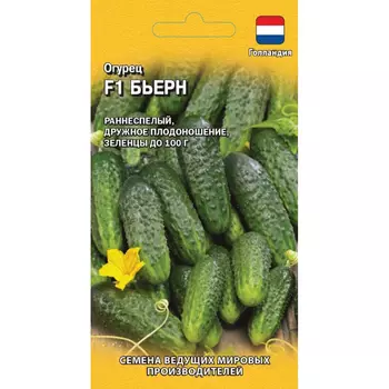 Семена Гавриш Огурец Бьерн F1 5 шт. (Голландия)