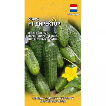 Семена Гавриш Огурец Директор F1 5 шт. (Голландия) Н20