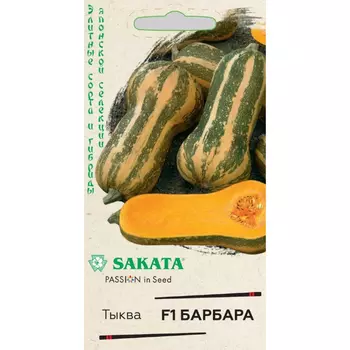 Семена Гавриш Тыква Барбара F1, мускатная 5 шт.(Саката)