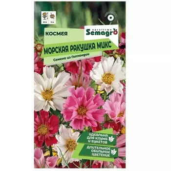 Семена космеи Semagro морская ракушка микс