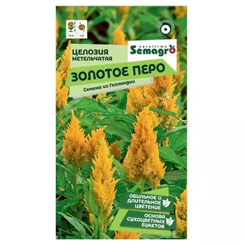 Семена Semagro целозии метельчатой золотое перо