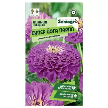 Семена Semagro цинния изящной супер йога парпл
