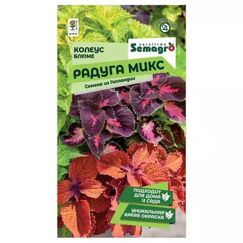 Семена Semagro колеуса блюме радуга