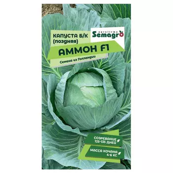 Семена Seminis капуста б/к аммон f1