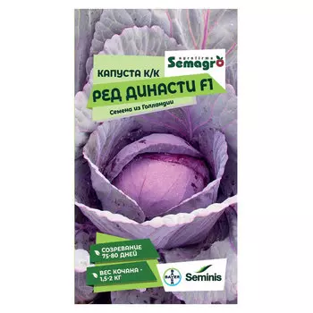 Семена Seminis капуста к/к ред династи f1