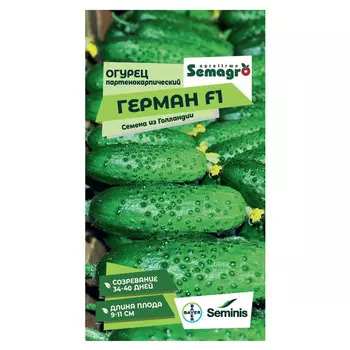 Семена Seminis огурец партенокарпик герман f1