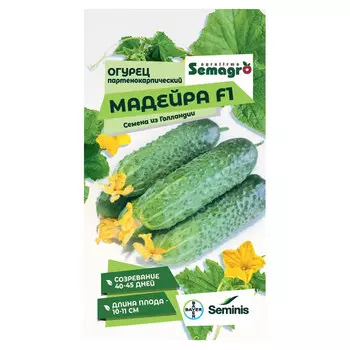 Семена Seminis огурец партенокарпик мадейра f1