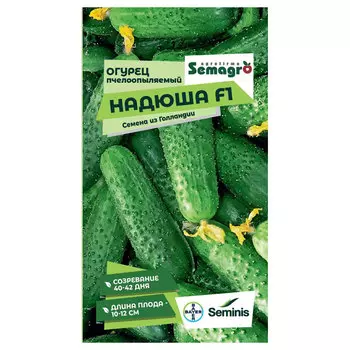 Семена Seminis огурец пчелоопыляемый надюша f1