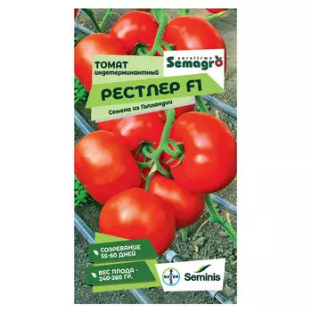 Семена Seminis томат индетерминантный рестлер f1