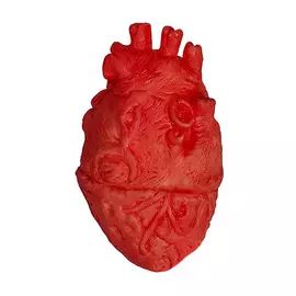 Сердце бутафорское Long cheng yiwu city красный