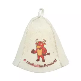 Шапка Hot Pot "Я необыкновенный" войлок