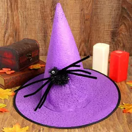 Шляпа Сима ленд конус с пауком сиреневый